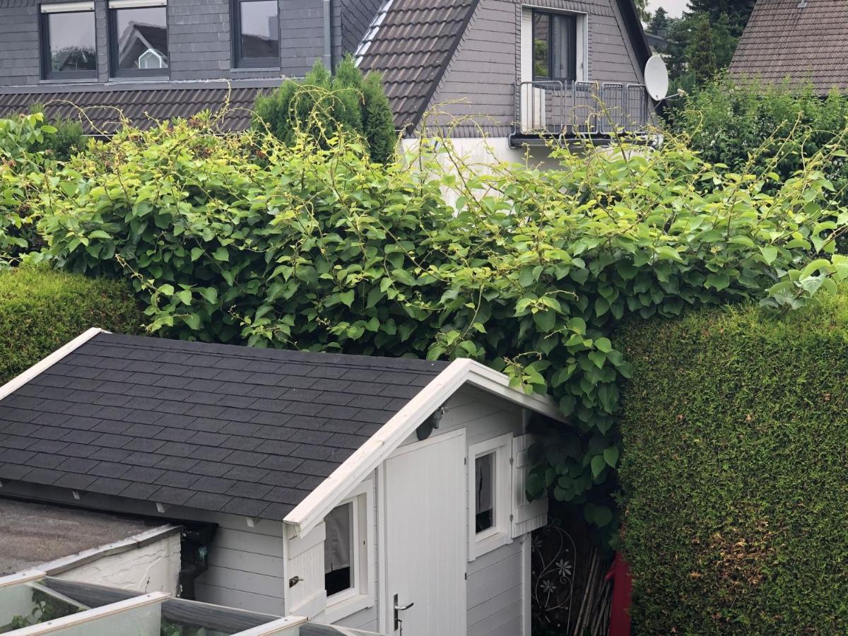 Bel Art Etage Mit Grossem Parkplatz Leilighet Haan Eksteriør bilde